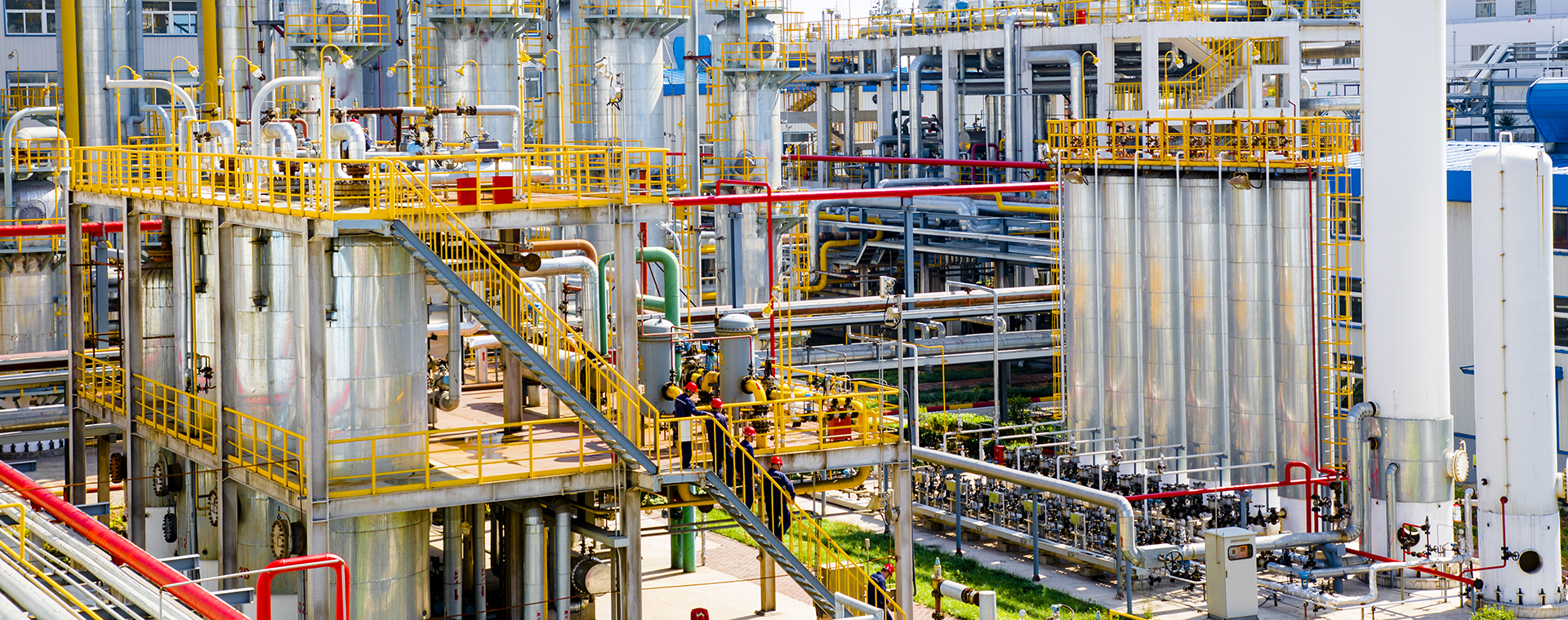 俏丽J9集团国际