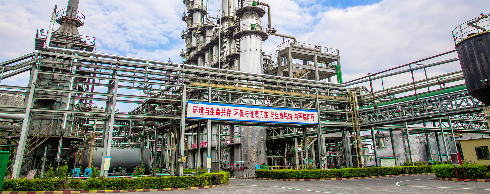 俏丽J9集团国际