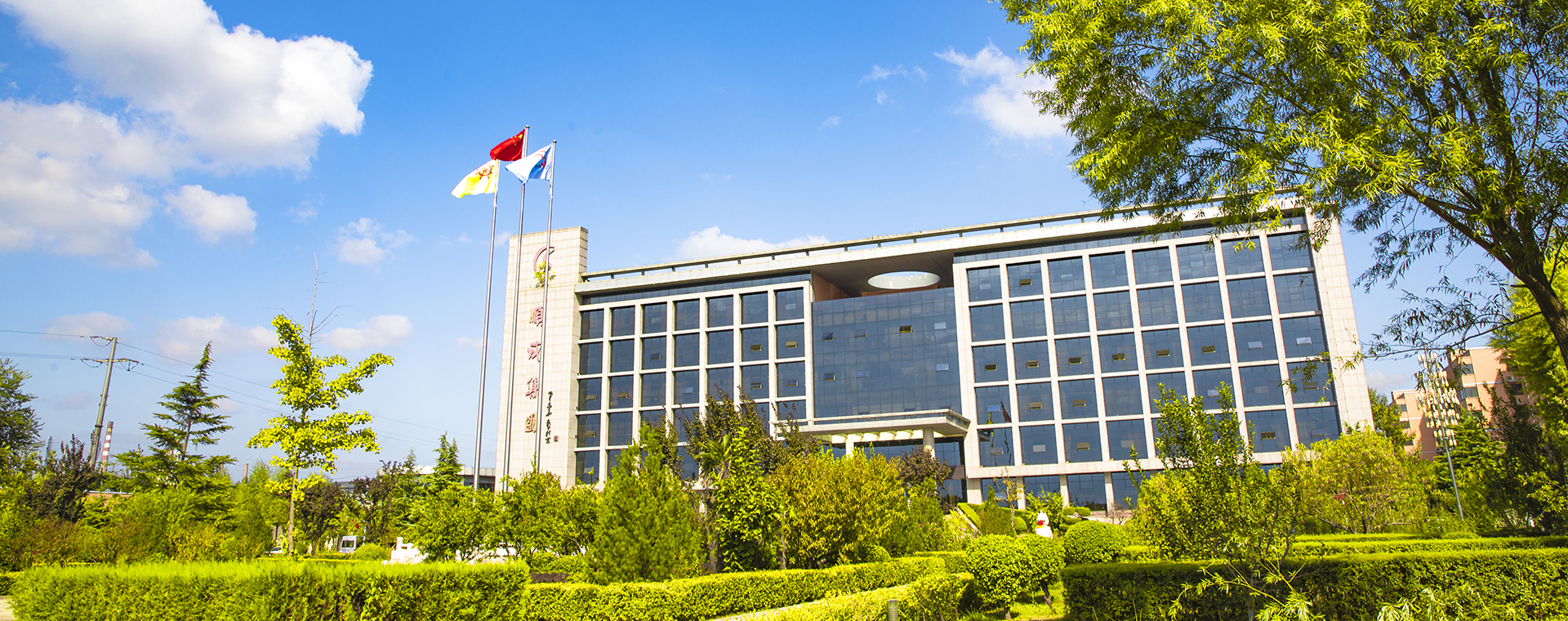 俏丽J9集团国际