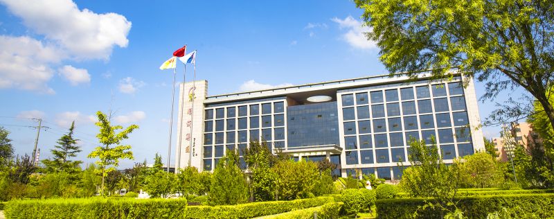 俏丽J9集团国际
